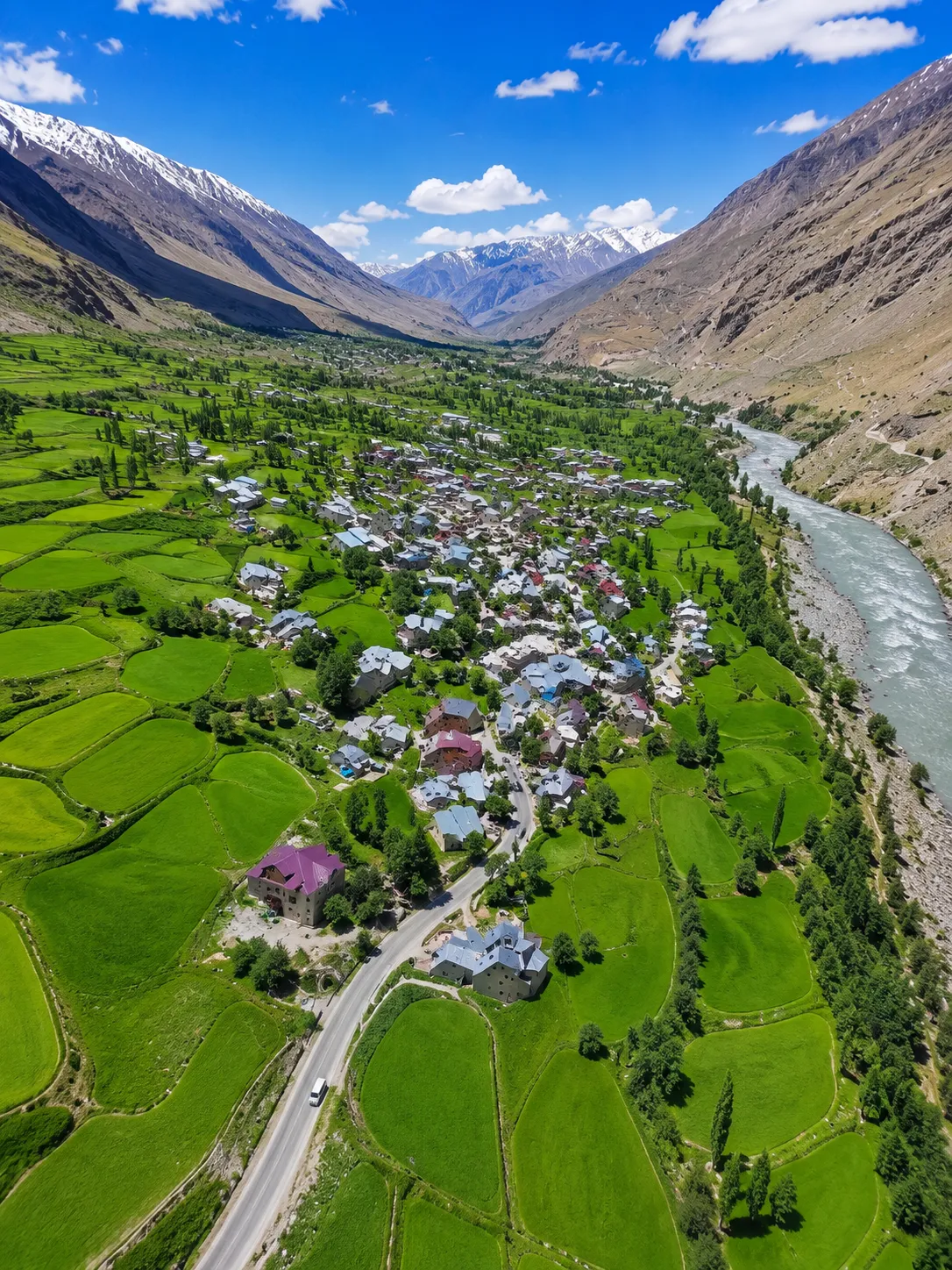 Suru Valley Kargil green valley landscape mountains river Ladakh
